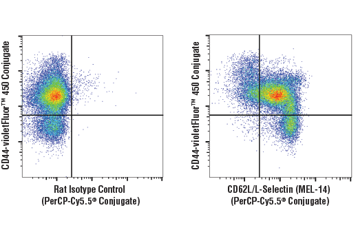 Flow cytometric analysis of live mouse splenocytes using CD62L/L-Selectin (MEL-14) Rat mAb (PerCP-Cy5.5<sup>®</sup>Conjugate) (right) compared to concentration-matched Rat Isotype Control (PerCP-Cy5.5<sup>®</sup>Conjugate) (left), co-stained with CD44 (IM7) Rat mAb (violetFluor™ 450 Conjugate) #53289.