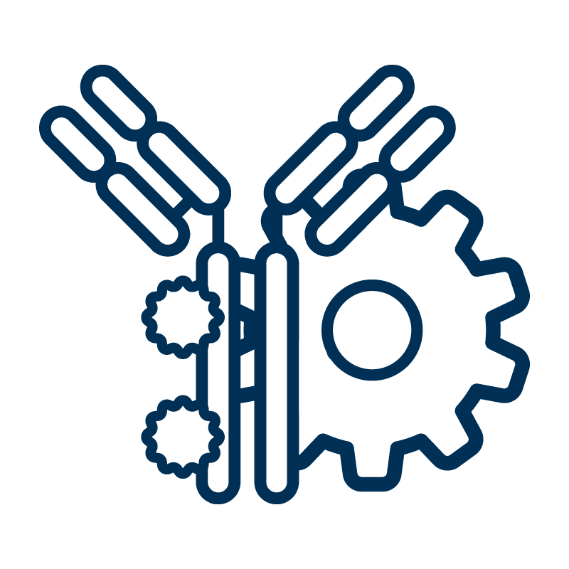 以线条绘制的抗体图标，含多个偶联位点与齿轮元素，代表按需提供的 SignalFlex™ 抗体偶联物